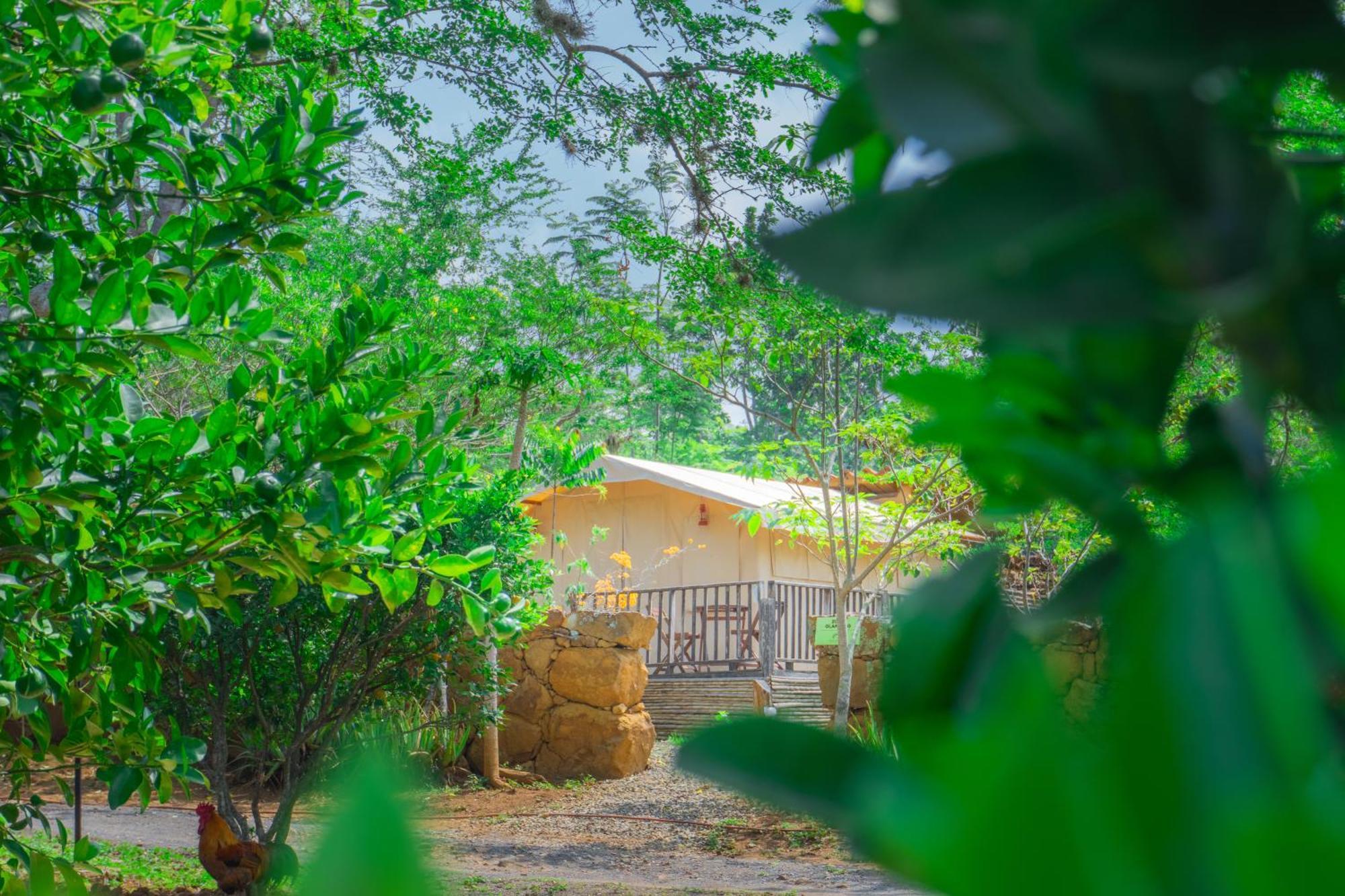 Hotel Hacienda Macedonia Barichara Luaran gambar